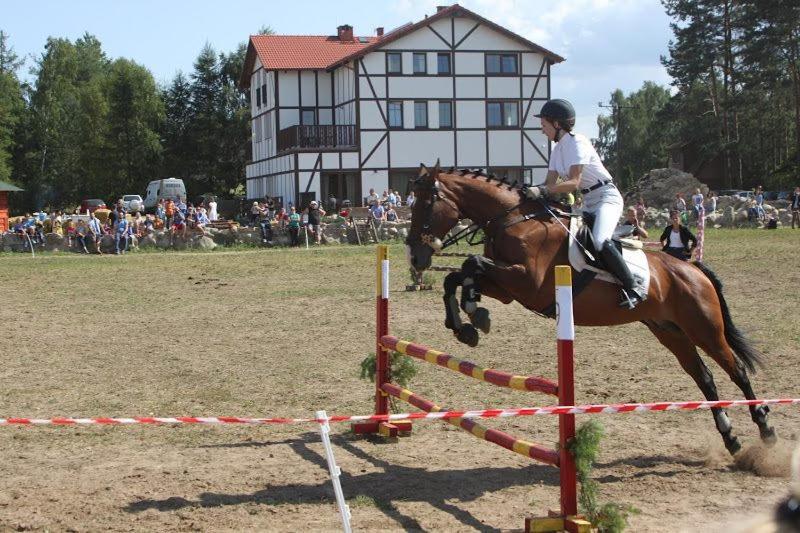 Affittacamere Kupperowka- Stadnina Koni Kolano Szymbark (Pomerania)
